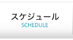 スケジュール