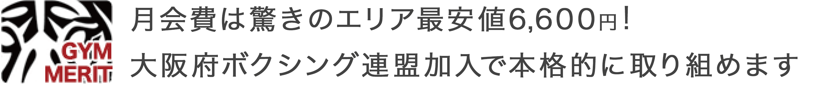 月会費が最安6480円大阪府ボクシング連盟加入